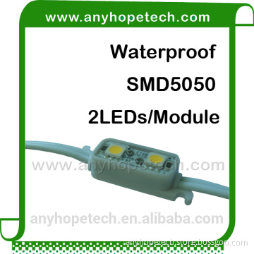 Excellent techniques waterproof 2LEDs ac cob led module